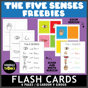 Preview of The 5 Senses Flash Cards and Poster FREEBIE