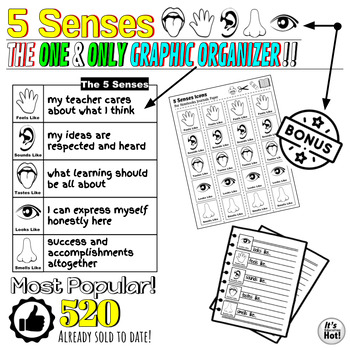 Preview of The "5" Senses - Graphic Organizer + BONUS