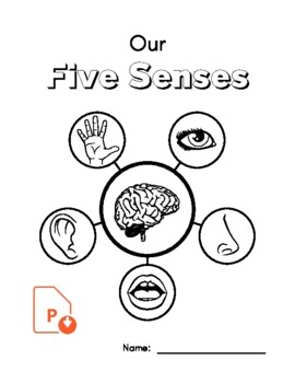 Preview of The 5 Senses. Workbook. Activities. Science. ELA. ESL. EFL. Vocabulary. Primary.