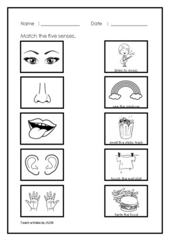5 senses worksheets for pre k