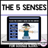 The 5 senses-for Google Slides™️