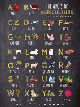 Preview of The ABCs of Agriculture Poster