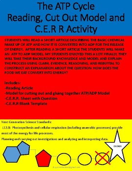Preview of The ATP Cycle  Reading, Cut Out Model and C.E.R R Activity Editable