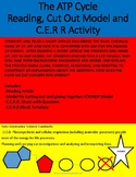 The ATP Cycle  Reading, Cut Out Model and C.E.R R Activity