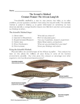 The African Lungfish- Animal Adaptation and the Scientific Method