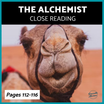 Preview of The Alchemist: Discussion Questions, Chapter Question, Textual Analysis, Coelho