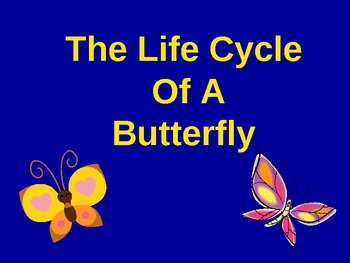The Amazing Life Cycle of A Butterfly! by Stephanie Curcic | TPT