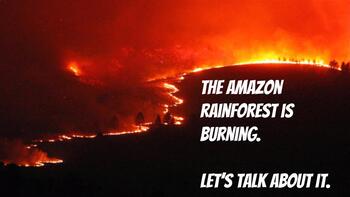 Preview of The Amazon Rainforest is Burning - Central Idea and Objective Summary 