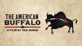 Preview of The American Buffalo 2 Episode Bundle - Movie Guides - Ken Burns - PBS
