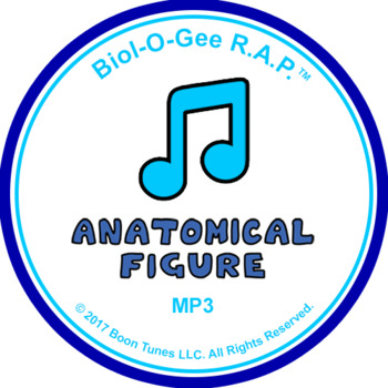 Preview of Anatomical Figure Song: Mp3 - Biol-O-Gee R.A.P.