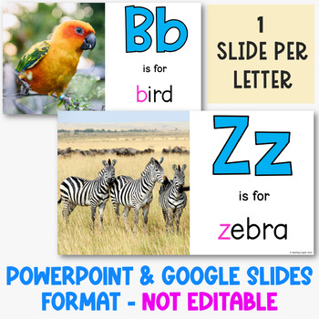 The Animal ABC's PowerPoint - Distance Learning by Sparkling English