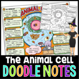 Animal Cells and Organelles Doodle Notes | Science Doodle Notes