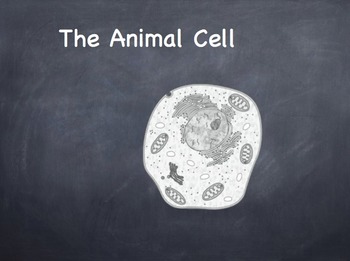 Preview of The Animal Cell Powerpoint Presentation Lesson