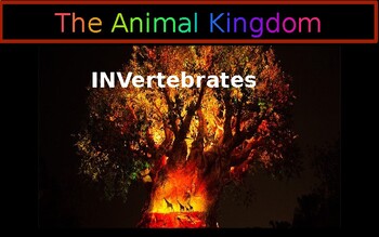 Preview of The Animal Kingdom - Invertebrates