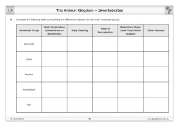 The Animal Kingdom – Invertebrates [Worksheet] by Good Science Worksheets