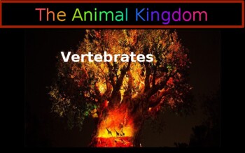 Preview of The Animal Kingdom - Vertebrates
