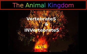 Preview of The Animal Kingdom - Vertebrates & Invertebrates