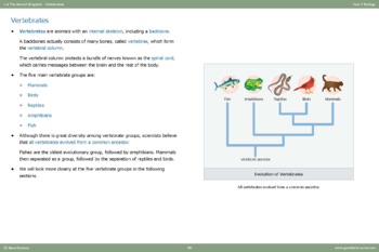 The Animal Kingdom – Vertebrates [Lesson Notes] by Good Science Worksheets