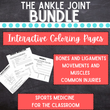 Preview of The Ankle Joint BUNDLE!