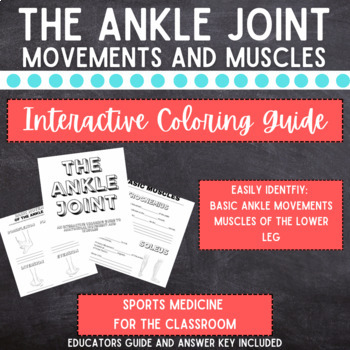 Preview of The Ankle Joint:An Interactive Coloring Guide to Anatomical Movement and Muscles