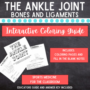 Preview of The Ankle Joint:An Interactive Coloring Guide to Bones and Ligaments