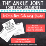 The Ankle Joint:An Interactive Coloring Guide to Bones and