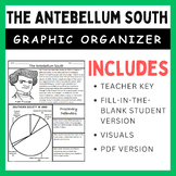 The Antebellum South: Graphic Organizer