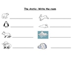 The Arctic Write the Room