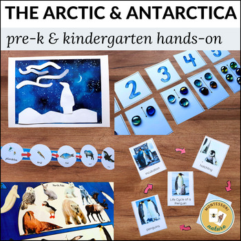 Preview of The Arctic and Antarctica Preschool Pack 3 Part Cards Montessori