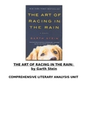 The Art of Racing in the Rain Literature Unit