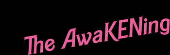 Preview of The Awakening/Barbie: Feminist Theory Presentations Project