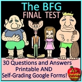 The BFG Test - Questions on Characters, Events, Plot, Theme, etc.