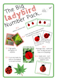The BIG LADYBIRD number pack (EYFS/Kindergarten Minibeasts)
