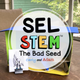 The Bad Seed Self Awareness SEL Activity and Read Aloud ST