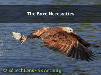 Preview of The Bare Necessities - Food and Energy for Animal Survival - Classroom Activity
