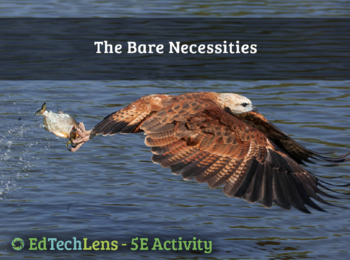 Preview of The Bare Necessities - Food and Energy for Animal Survival - Home User Activity