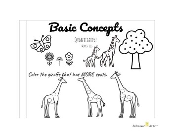 Preview of The Basic Concepts: quantitative (More/Less)