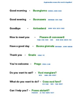 Preview of The Basics of spoken Italian Language (with translations)