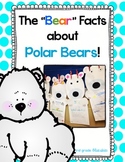 The "Bear" Facts About Polar Bears