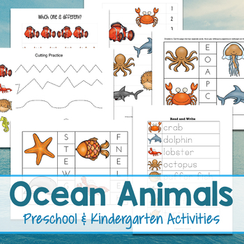 Ocean Animals Preschool and Kindergarten Activities | TpT