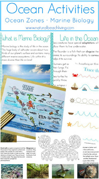 Preview of The Best Ocean Activities - Marine Biology Unit Study for Kids