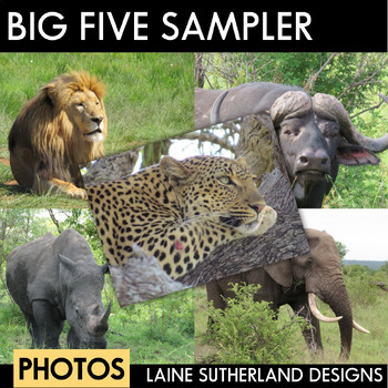The Big 5 - Wild Animal Photos Sampler by Laine Sutherland Designs