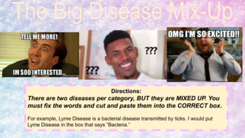 Preview of The Big Disease Mix-Up Assignment