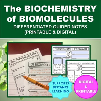 Preview of The Biochemistry of Biomolecules Differentiated Notes (Digital & Printable)