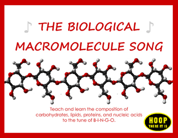 Preview of The Biological Macromolecule Song