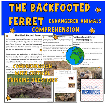 Preview of The Black-Footed Ferret - Comprehension and Critical Thinking Skills