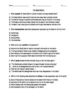 Preview of The Black Stallion  Comprehension Questions Houghton Mifflin Journeys