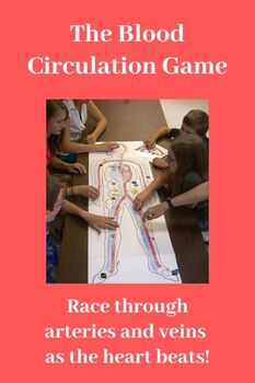 Preview of The Blood Circulation Game