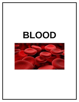 Preview of The Blood System-Student Workbook