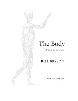 the body guide for occupants